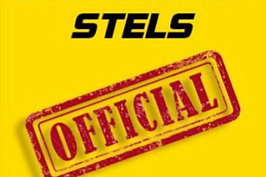 Сертификат дилера STELS